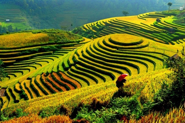 HÀ NỘI - HẠ LONG – SAPA – CHÙA HƯƠNG –HÀ NỘI