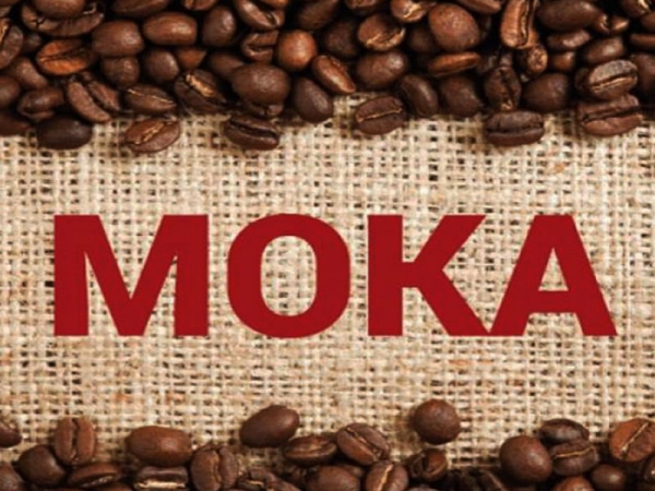 MOKA - (Số lượng: 20 - 50 ký) 