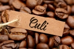 ROBUSTA + CULI + MOKA - (Số lượng: 60 - 100 ký)