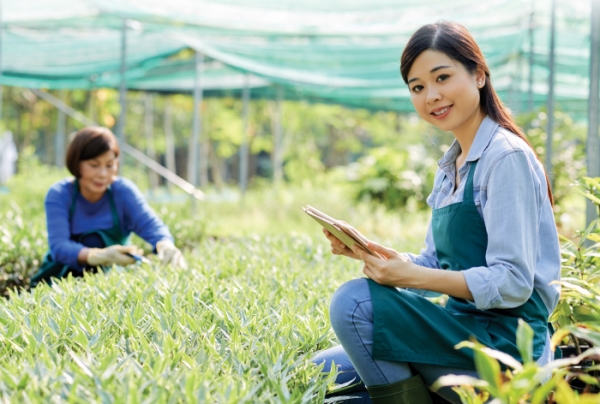 Vay bổ sung vốn sản xuất kinh doanh